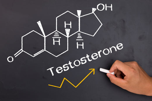 Produkty podnoszące testosteron – część I