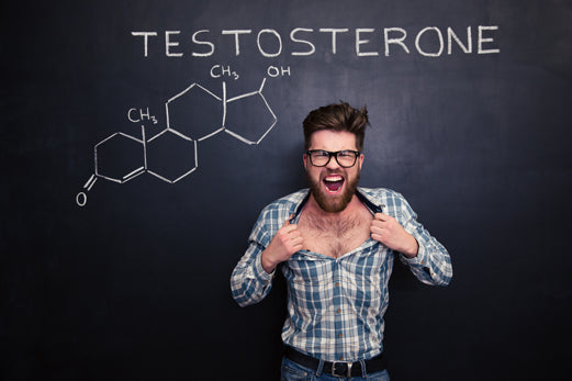 Produkty podnoszące testosteron – część II